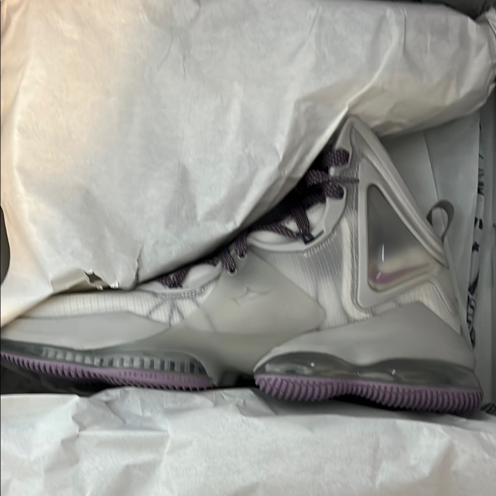 Nike Lebron xix